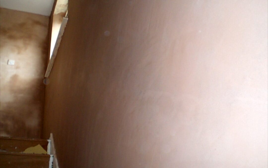 Painting freshly plastered walls – what you need to know